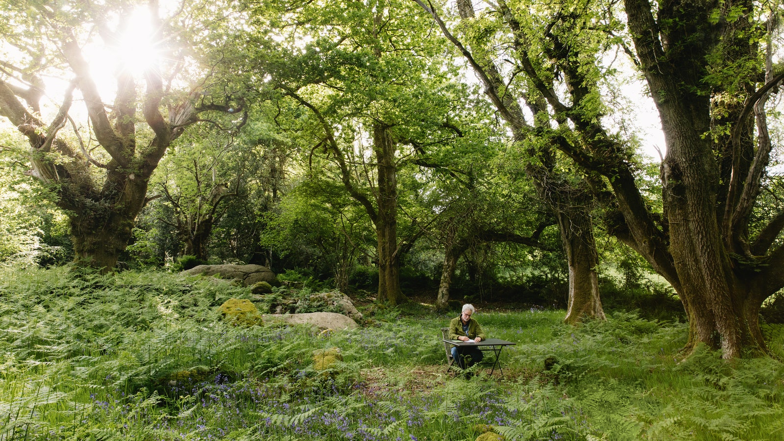 A photographer's dramatic Devon garden, rooted in the elemental landscape that surrounds it