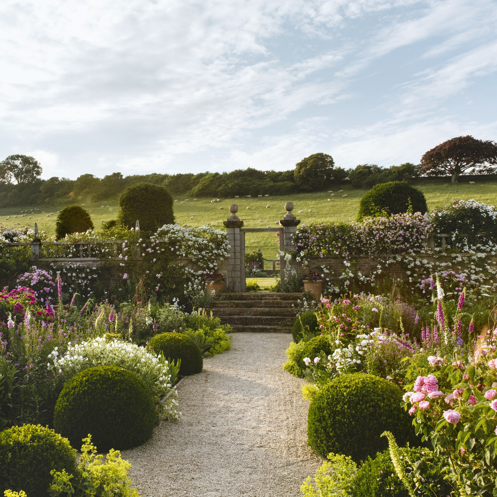 A harmonious Dorset rose garden designed by Isabel and Julian Bannerman