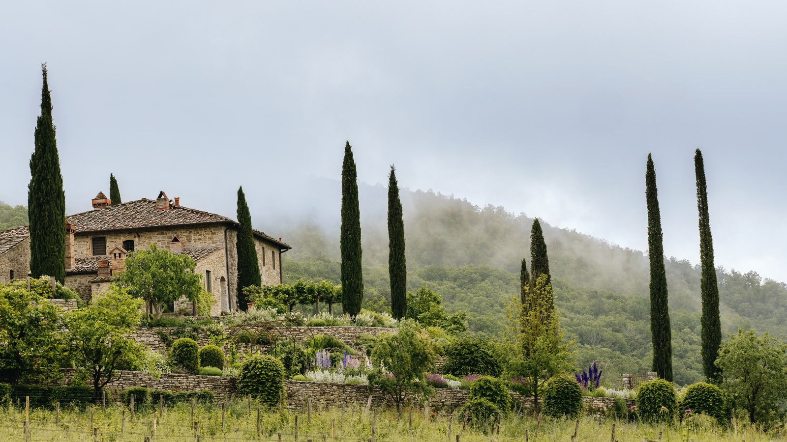 Arne Maynard fills a Tuscan garden with fragrance, texture and colour