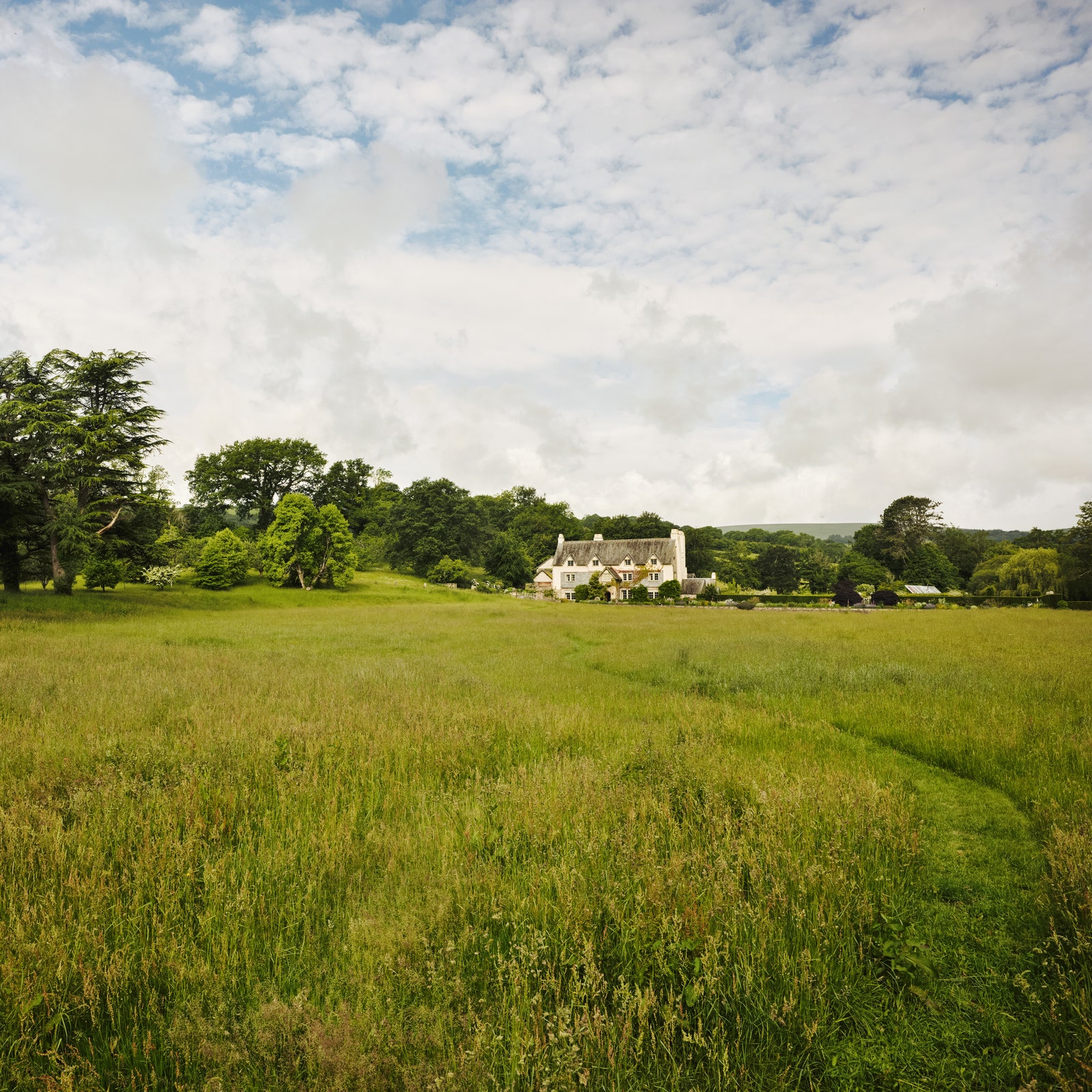 An inspirational Devon estate overflowing with wildflowers